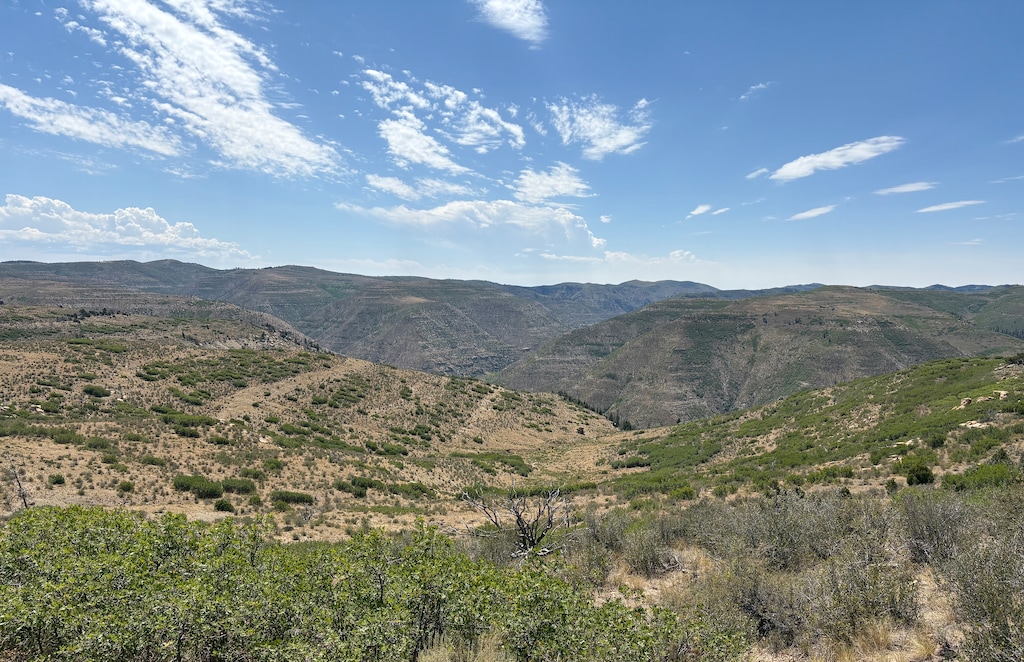 (Utah Division of Wildlife Resources) The Book Cliffs area in Grand County in July 2025.