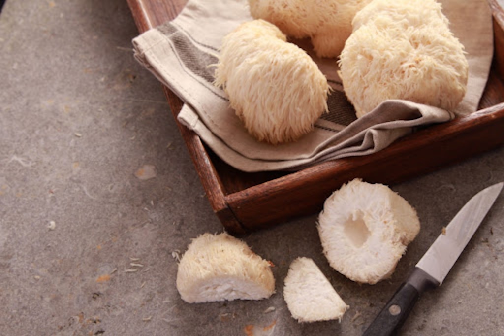 (Laxmi Corp, sponsored) 21 Best Lion’s Mane mushroom supplements in 2023 for focus, memory, & brain health.