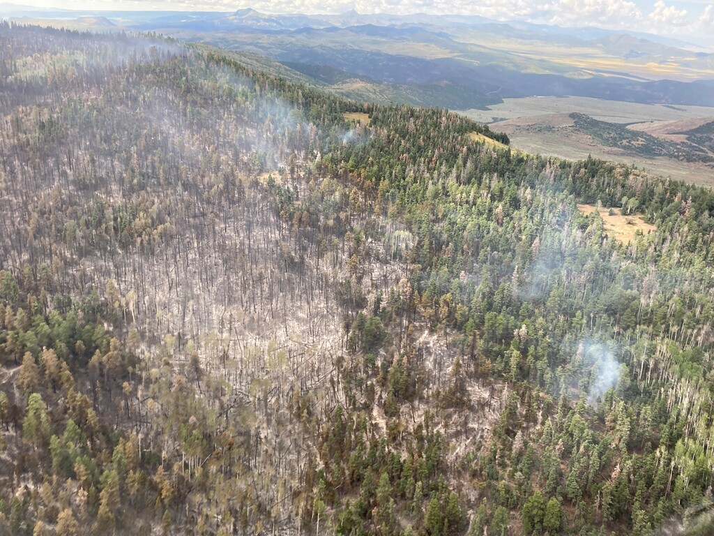 (Utah Wildfire Info) The Thompson Ridge Fire burning in Fishlake National Forest.