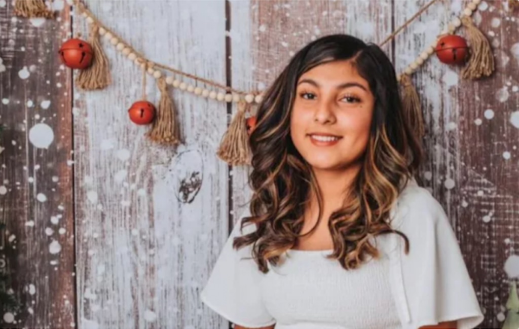 (GoFundMe) Arely Hernandez-Cuenca, 15, was struck and killed by a car.