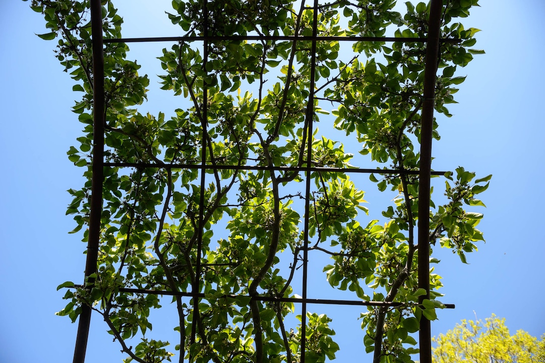 (Trent Nelson  |  The Salt Lake Tribune) Red Butte Garden in Salt Lake City on Wednesday, May 6, 2020.