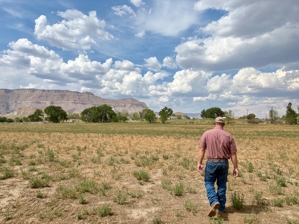 (Brooke Larsen | The Salt Lake Tribune) Brooks Behling walks across one of his dry alfalfa fields in Ferron on August 10, 2026.
