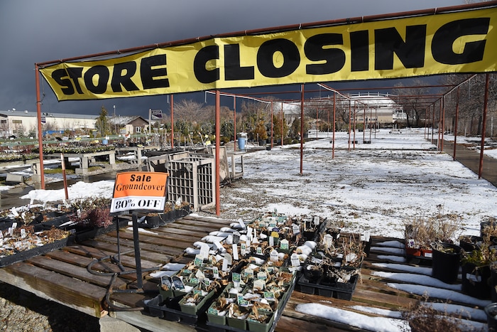 (Francisco Kjolseth  |  The Salt Lake Tribune)  Wednesday marks the official last day of business for Wasatch Shadows Nursery in Sandy. After 42 years, owners, Loren and Debbie Nielsen, are retiring. They have sold the 10 acre plot, just west of the Real Soccer Stadium, seen in background, to Sandy City for future development.