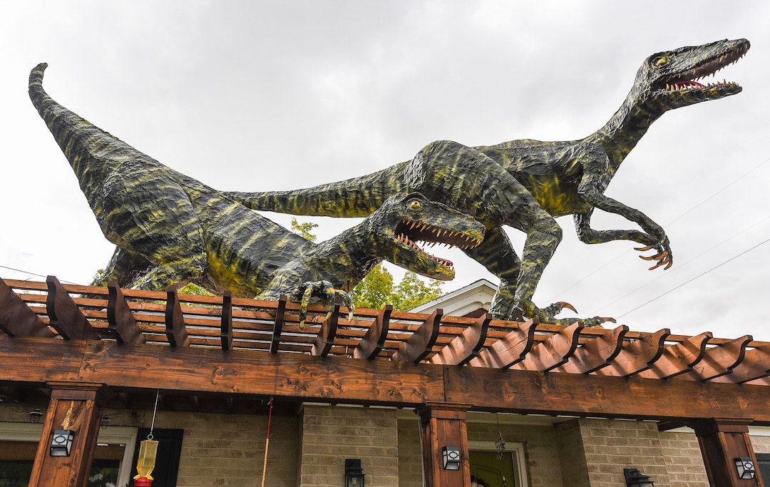 (Francisco Kjolseth  |  The Salt Lake Tribune)  Ammon Smith went big on his front lawn at 1542 S. 900 East in Salt Lake City for Halloween after constructing a "maturing adult"-size T. rex along with a pair of velociraptors and pterodactyls. The part-time stay-at-home dad, who made a giant King Kong last year, started construction back in August as he assembled recycled wood, chicken wire, foam, aluminum foil and spray paint for the 12-by-32-foot Jurassic centerpiece and companion pieces.