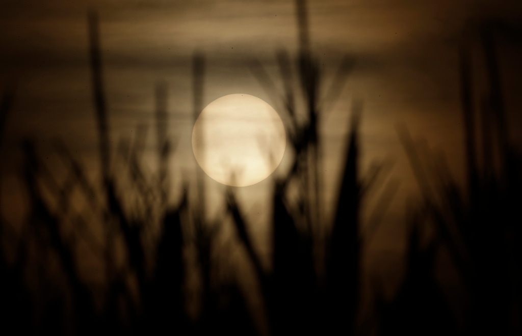 (Luca Bruno | AP file photo) The sun sets in Cuggiono near Milan, Italy, in July 2019. A new U.N. report on warming and land use says climate change is hitting us where it counts: the stomach. The scientific report on Thursday, Aug. 8, finds that as the world warms it degrades the land more.
