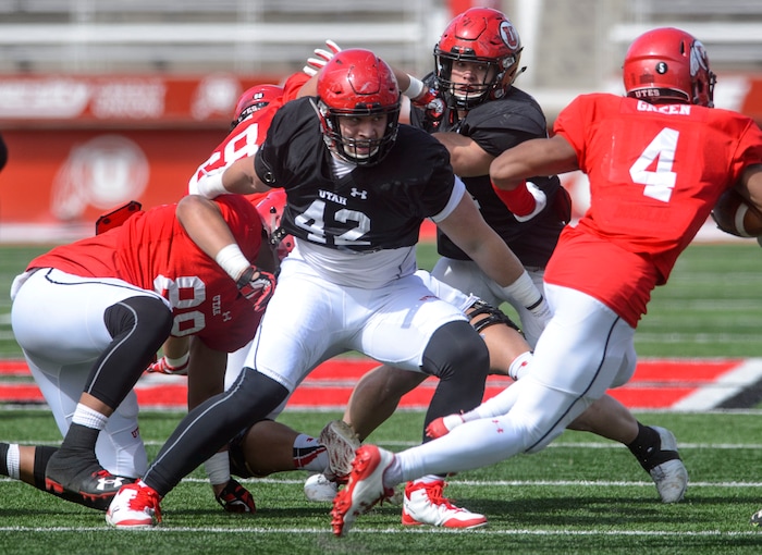 (Steve Griffin  |  The Salt Lake Tribune) Utah defensive end Zach Tafua chases running back TJ Green during the University of Utah football team's first scrimmage at Rice-Eccles Stadium in Salt Lake City Friday March 30, 2018.