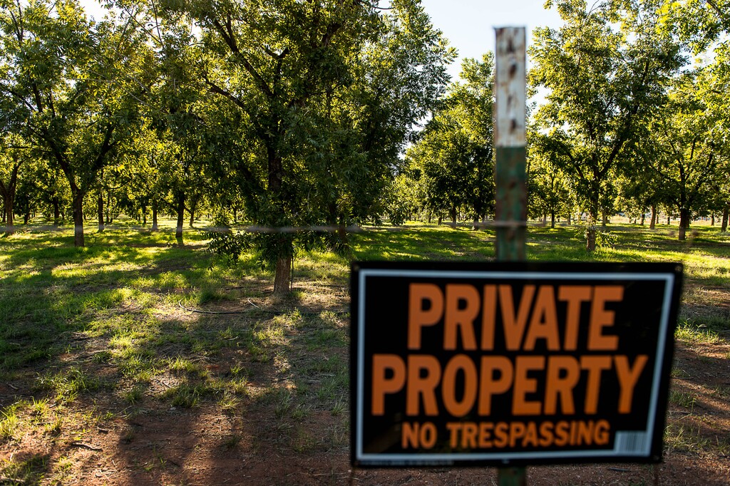 (Trent Nelson  |  Tribune file photo)  Southern Utah Pecan Ranch, near Hurricane, Wednesday Sept. 24, 2014.