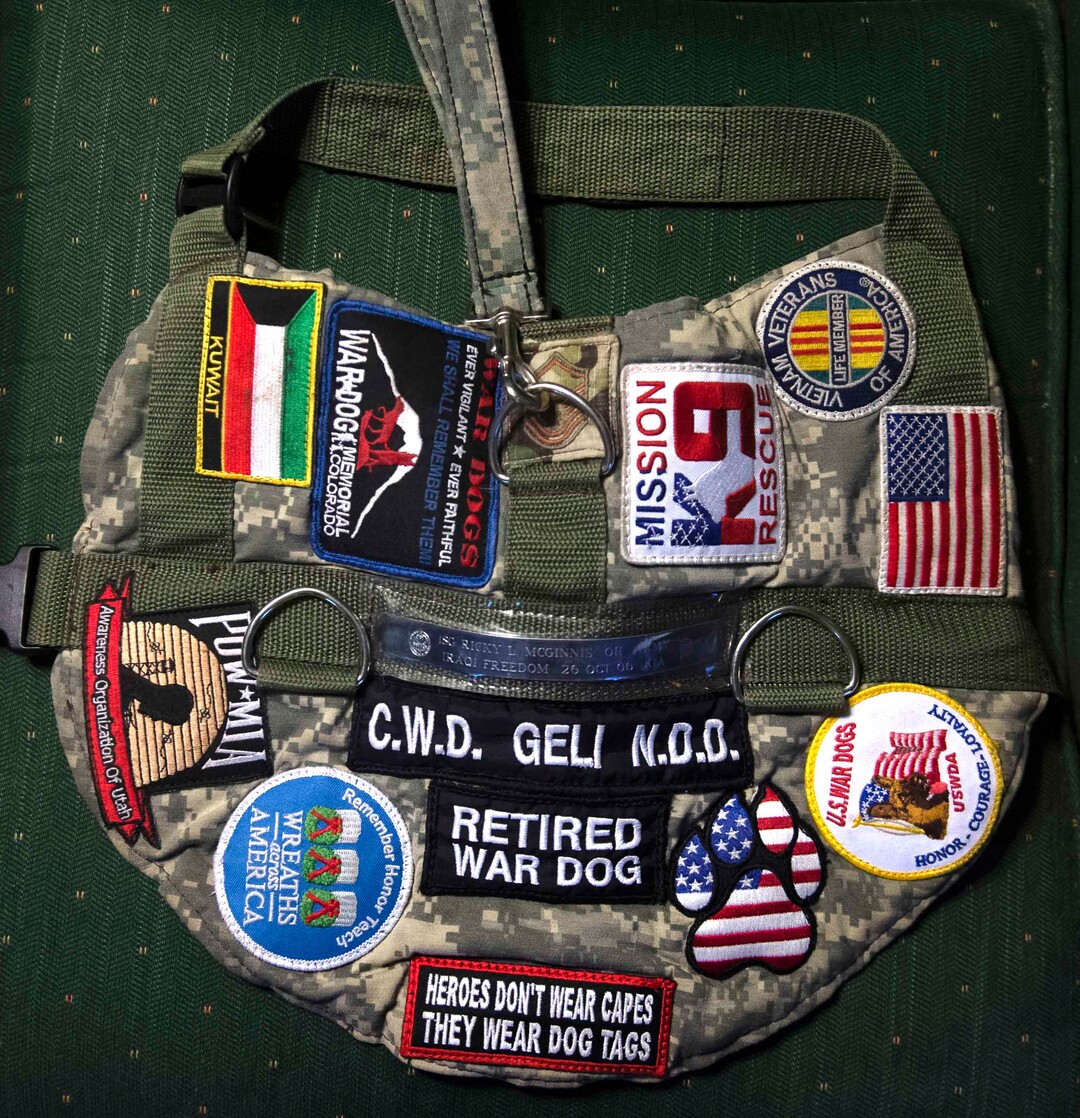 (Rick Egan | The Salt Lake Tribune) A vest worn by Geli, a veteran military canine who was rescued from Kuwait, is photographed Wednesday, Aug. 28, 2019. The dogs were rescued part of an effort to save dogs abandoned by the U.S. military after their handlers return home from duty.