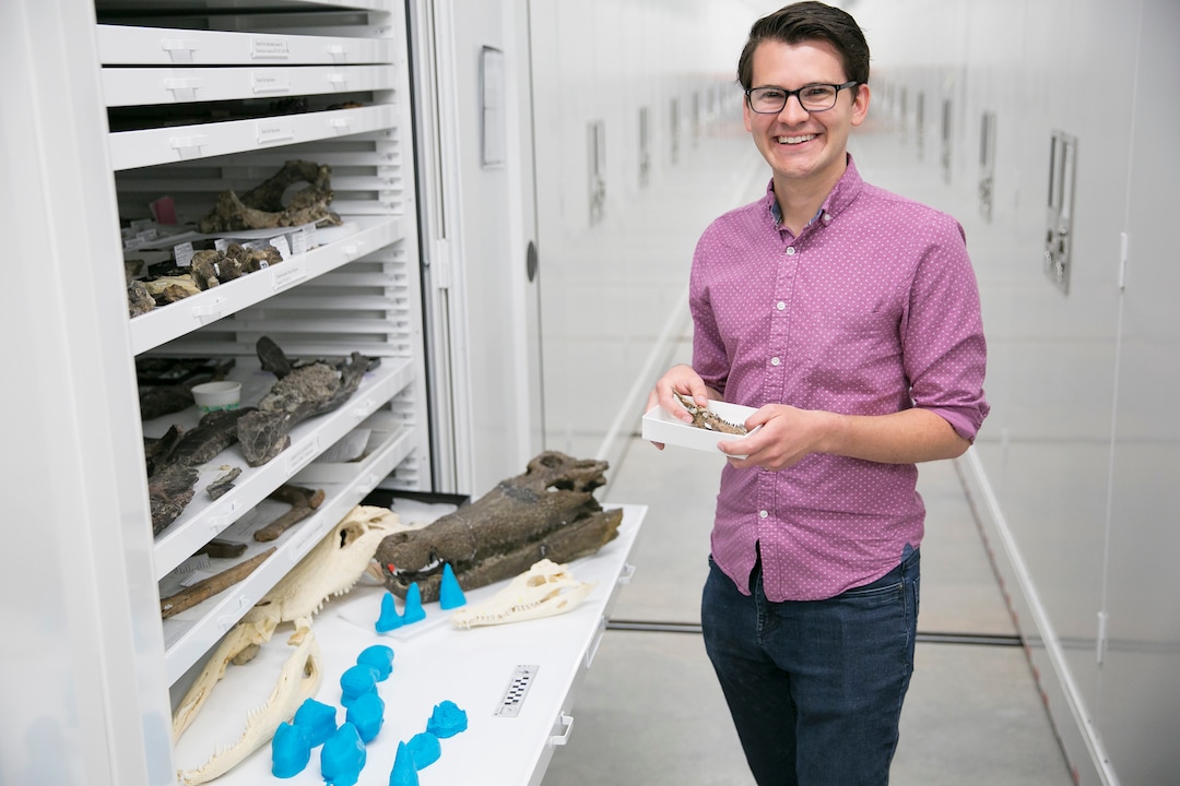 (Photo courtesy of the Natural History Museum of Utah) Keegan Melstrom, a graduate student at the University of Utah, stands with teeth models from the relatives of ancient crocodiles.