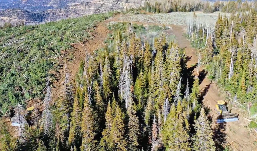 (106 Reforestation) This image from a promotional video shows how a Utah company called 106 Reforestation bulldozes overgrown forests on the Tavaputs Plateau with the hope of restoring aspen that have been crowded out by subalpine fir and other conifers. The Utah Legislature has appropriated $4.4 million dollars since 2019 to promote the experimental forest treatments as a way to enhance stream flows.