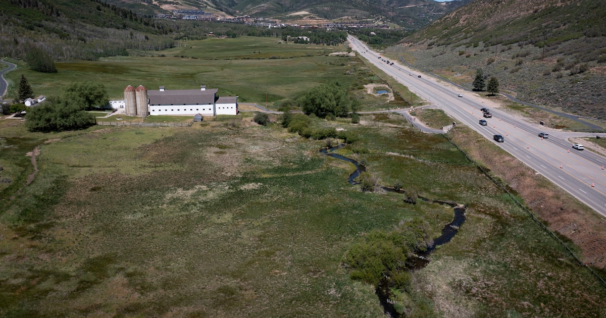 Utah erforscht ungewöhnliche Lösungsansätze gegen Waldbrände ...