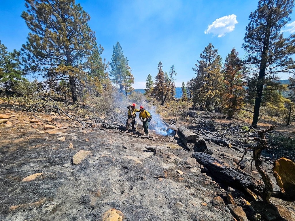 (U.S. Forest Service) The Babylon Fire began June 26 and was caused by lightning, investigators determined. The 107,173-acre wildfire reached 62% containment Friday.