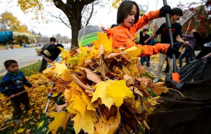 (Steve Griffin  |  The Salt Lake Tribune)  McGillis School children grab rakes and gloves as they team up and head into their schoolÕs neighborhood to help neighbors with their autumnÕs leaves. The kindergarten through eighth grade private school holds the event annually in Salt Lake City Monday November 6, 2017.