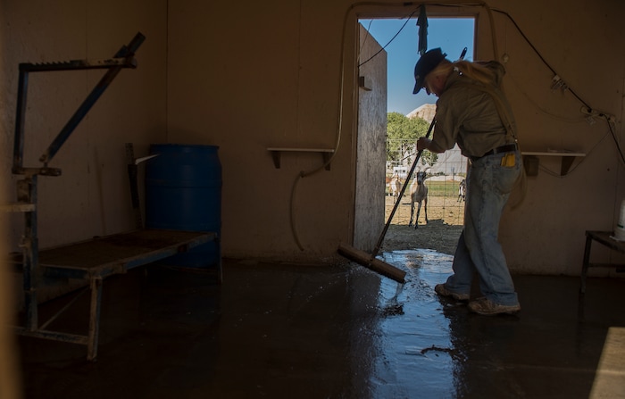 (Leah Hogsten  |  The Salt Lake Tribune) "Small scale agrobusiness is the only way we can save the world," said Mesa Farm owner Randy Ramsley, who sells a variety of goats milk cheeses and yogurt at his farm's storefront on Highway 24, east of Capitol Reef and at Tony Caputo's in Salt Lake City. Ramsley disinfects the milking station where he milks his 35 goats daily in the summer months. 
