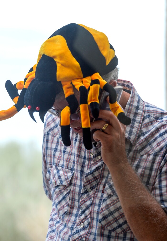 (Leah Hogsten | The Salt Lake Tribune) Dirk Burton of West Jordan sports a spider hat at the Antelope Island Spider Fest 2019 at Antelope Island State Park, August 3, 2019. Spider Fest featured a day full of spider-themed presentations, crafts, guided walks, citizen science, poetry, photography, art and educational presentations about the arachnids on the island.