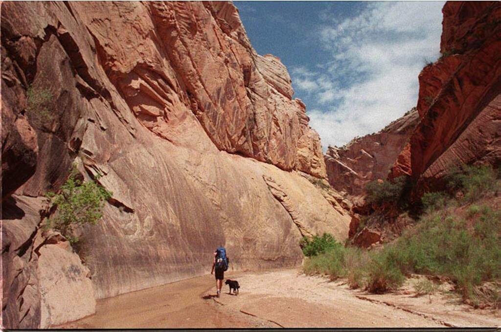 (Stefani Day | Tribune file photo) Hackberry Canyon, in Grand Staircase-Escalante National Monument, is photographed May 1999.