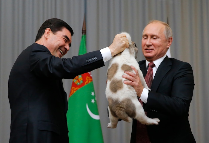 Turkmenistan's President Gurbanguly Berdymukhamedov, left, presents a puppy to Russian President Vladimir Putin during their meeting in the Bocharov Ruchei residence in the Black Sea resort of Sochi, Russia, Wednesday, Oct. 11, 2017. The presidents met at the sidelines of a summit of leaders of ex-Soviet nations in Sochi. (Maxim Shemetov, Pool Photo via AP)