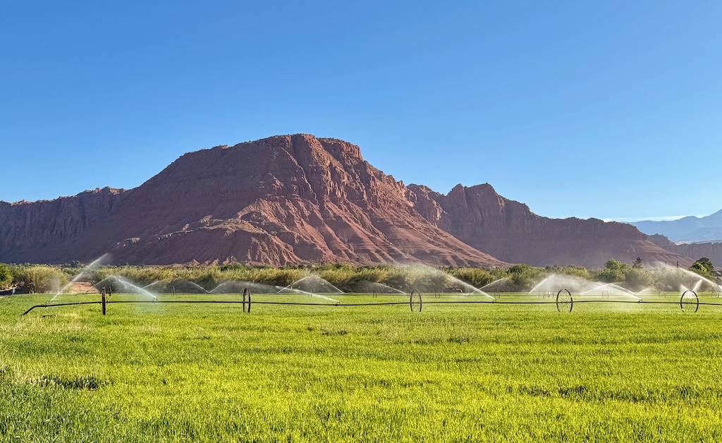 (Mark Eddington | The Salt Lake Tribune) Irrigation sprinklers water an alfalfa field underneath Red Mountain in Ivins, Monday, May 12, 2025.
