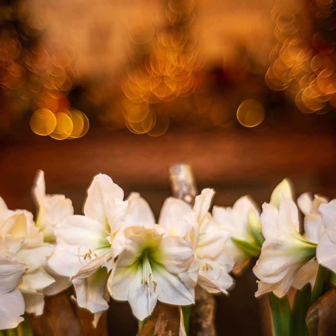 (Trent Nelson | The Salt Lake Tribune)Flowers in the lobby of the Stein Eriksen Lodge in Park City on Thursday Dec. 20, 2018. The Forbes Travel Guide recently named Utah's Stein Eriksen Lodge as one of the most "Luxurious Hotels in the World."