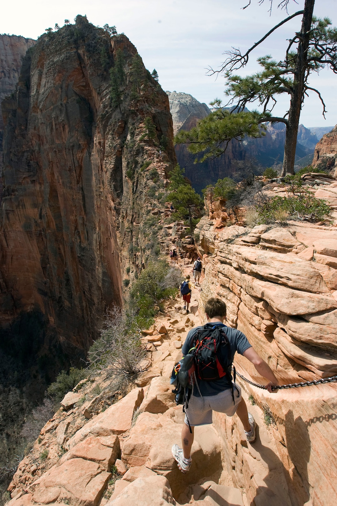 Al Hartmann  |  Tribune file photo Hikers carefully make their way up a section of the Angels Landing Trail in Zion National Park in March 2009. The trail offers one of the premier hikes in the park, taking visitors along a steep rock spine that climbs to a magnificent view of the Virgin River and Zion Canyon below. But the hike is not for those who fear heights.  An anchor chain is embedded in the rock in steep places along the trail for hikers to grab onto for safety.