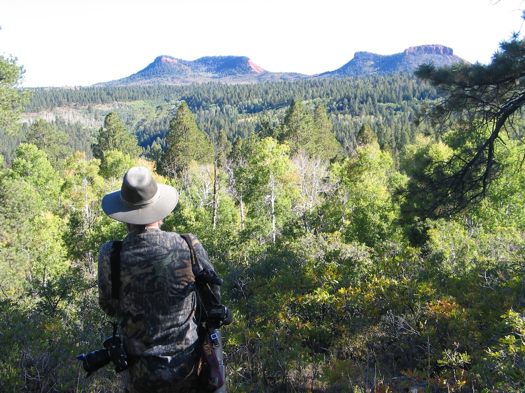Brett Prettymann  |  The Salt Lake TribunePhotographer explores the high forested plateau country near the Bear's Ears in San Juan County.  The area is included for a proposed Bears Ears National Conservation Area.