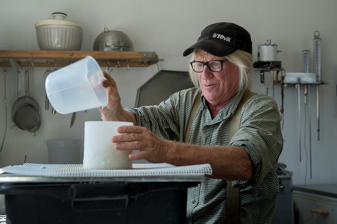 (Leah Hogsten  |  The Salt Lake Tribune) Mesa Farm owner Randy Ramsley separates curds and whey into molds to drain and age into raw tomme or semi-hard alpine cheese. Ramsley sells a variety of goats milk cheeses and yogurt at his farm's storefront on Highway 24, east of Capitol Reef and at Tony Caputo's in Salt Lake City. 