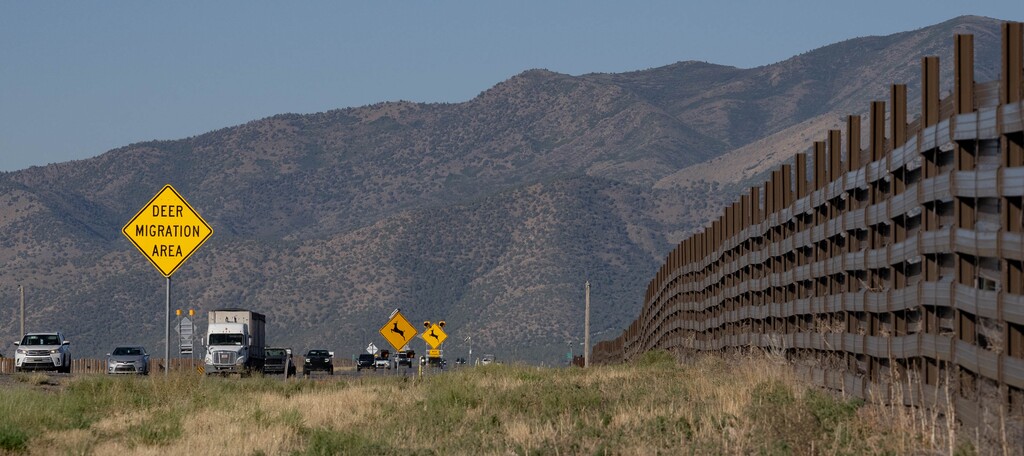 (Francisco Kjolseth  | The Salt Lake Tribune) Wildlife fencing helps direct deer to a pinch point to cross SR 73 in Eagle Mountain during the migration season, shown on Tuesday, August 27, 2024.