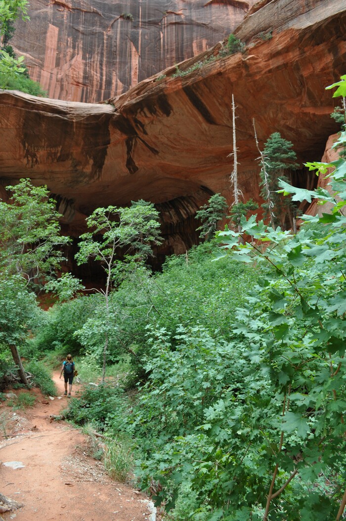 (Courtesy of Craig Buschmann)  The hike along the Middle Fork of Taylor Creek leads to an alcove in the quiet Kolob Canyons section of Zion National Park in Utah. Photo taken August 2013.