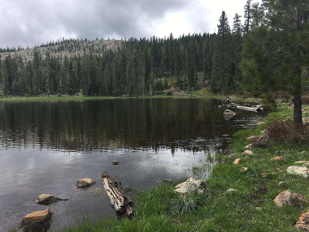 (U.S. Forest Service | The New York Times) In an image provided by the U.S. Forest Service, Gumboot Lake in Shasta-Trinity National Forest, where two U.S. Forest Service workers were taken hostage on Thursday, July 17, 2026. Two U.S. Forest Service employees were freed Friday after a man and his son bound the workers and held them at gunpoint for about 15 hours in a national forest in rural Northern California, the authorities said.