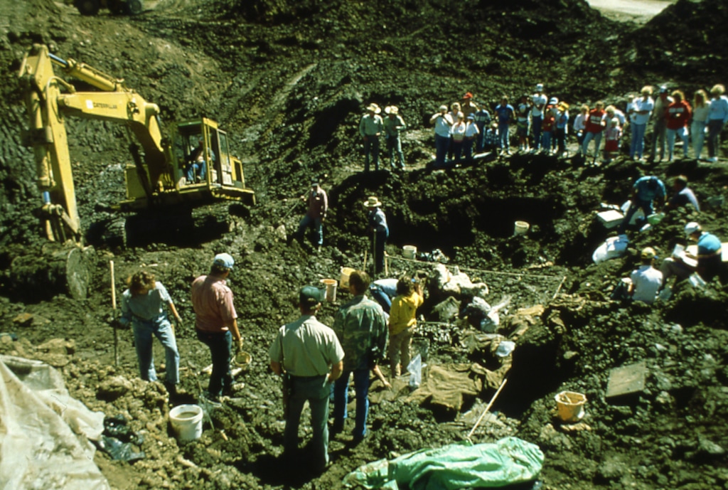 (Martha Hayden | Utah Geological Survey) Crowds of people come to watch the Huntington Mammoth get excavated, August 1988.