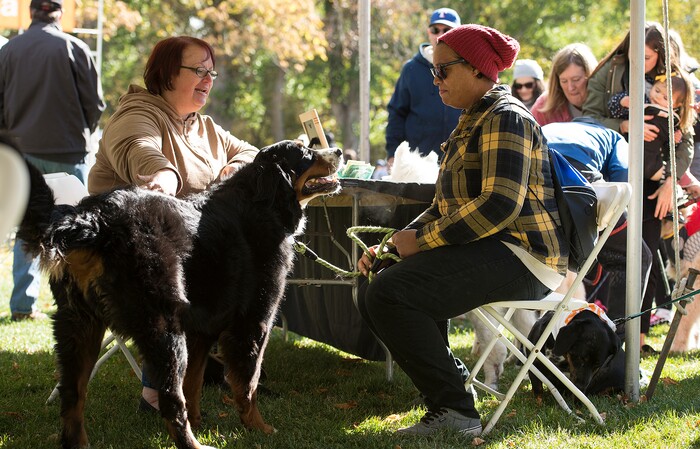 (Leah Hogsten  |  The Salt Lake Tribune) Tanisha Mabry (right) learns more about her dog Boo, 4, a Bernese Mountain dog from pet psychic Jennifer Martin during the 2017 Strut Your Mutt dog walk and fundraiser to save the lives of homeless pets, October 14, 2017  at Liberty Park. Participants can choose to raise money for Best Friends or for one of hundreds of participating shelters, rescue groups and other animal welfare groups. 