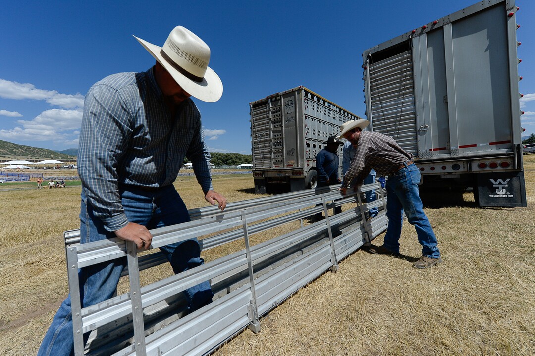 (Francisco Kjolseth  |  The Salt Lake Tribune)  Jake Okelberry, left, and Chris Averett prepare ramps to unload hundreds of sheep arriving from the Strawberry Valley to Midway's Soldier Hollow on Wed. Aug. 29, 2018, for this weekend's 16th annual Soldier Hollow Classic Sheepdog Championship and Festival, which runs Aug. 31-Sept. 3. This year, 44 dogs and 34 handlers will work with 331 sheep for the $20,000 purse.