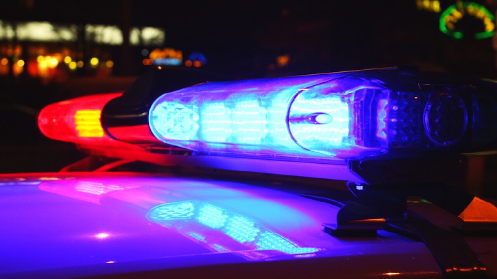 (FOX 13 News) Police car lights