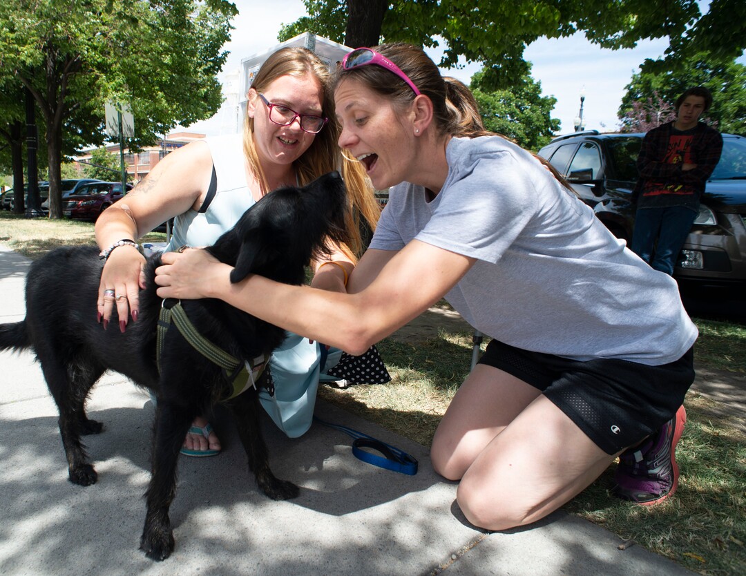 (Rick Egan  |  The Salt Lake Tribune)  Haylee Krch gets help with a new harness for her dog Bingo, Lisa Volungif a volunteer with the Street Dawg Crew, a group that  gives out food, treats, leashes and things fort pets of homeless people. Sunday, July 7, 2019.