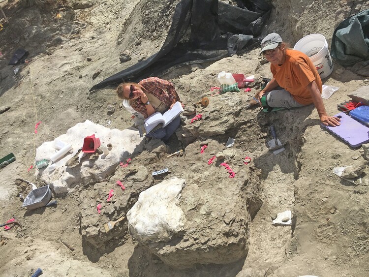 (Alan Titus | Bureau of Land Management) BLM paleontologist Katja Knolls, left, and volunteer Lynn Marshall prepare tyrannosaur specimens to be removed from the Rainbows and Unicorns Quarry in Grand Staircase-Escalante National Monument in 2018.