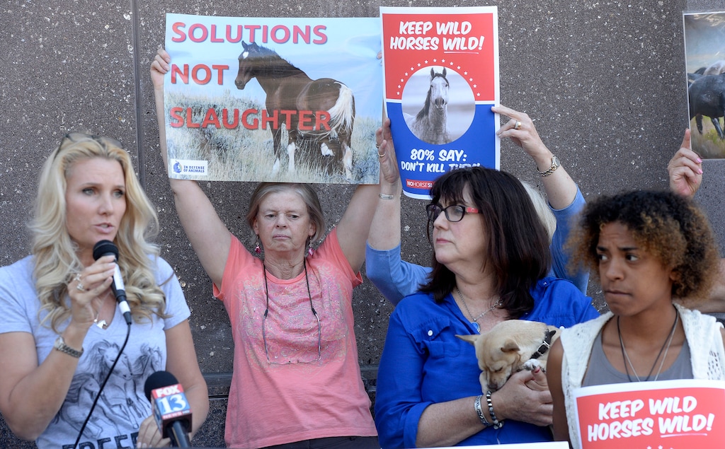 (Al Hartmann | The Salt Lake Tribune)
Simone Netherland with the The American Wild Horse Campaign, left, speaks at a protest and news conference in front of the downtown Marriott Hotel where Utah officials hosted a wild horse conference Wednesday, Aug. 23. The advocates were not allowed into the conference and believe the forum is for promoting the slaughter of wild horses and burros that roam the West's public lands.
