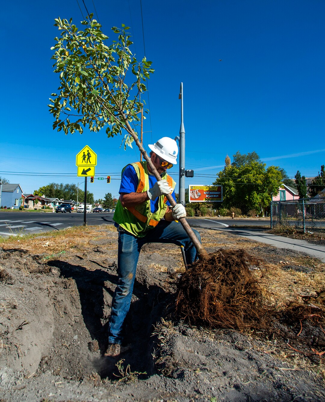 (Rick Egan  |  The Salt Lake Tribune)   Colby Spratt plants a tree along 900 West, as he joins more than 100 volunteers from Dominion Energy to plant 205 trees in the Fairpark neighborhood, which is said to be single largest volunteer tree planting event in Salt Lake City, on Thursday, Oct. 1, 2020.