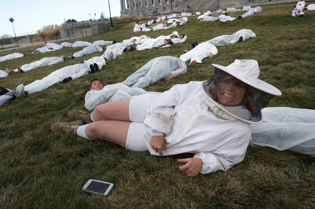 (Scott Sommerdorf   |  The Salt Lake Tribune)   Beekeeper Babs Isak wore her white beekeeper's outfit to fit in with other protesters dressed in white jumpsuits as she helped form the "U" in "Trump" as they spelled out "GO HOME TRUMP" on the south lawn of the Utah State Capitol during a protest organized by artist Cat Palmer ahead of Trump's visit Monday. They had originally formed a message containing the word "F__K" but a UHP officer explained to them that the word was not permitted on the capitol grounds. They settled for GO HOME TRUMP, Sunday, December 3, 2017.  