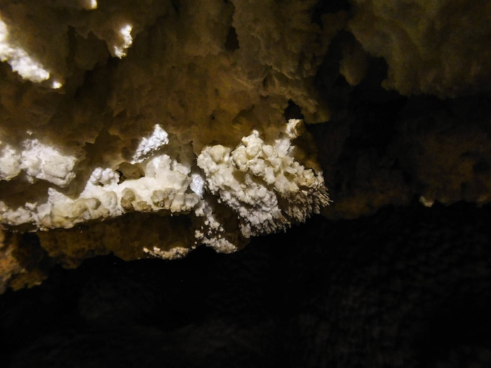 Erin Alberty  |  The Salt Lake TribuneDelicate nodules form on a mineral formation called "cave popcorn" in Crystal Ball Cave in Gandy, Utah.