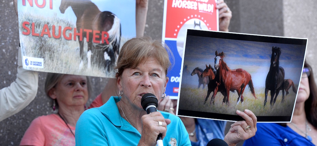 (Al Hartmann  |  Tribune file photo) Ginger Kathrens, director of the Cloud Foundation, left, speaks at a protest and press conference in front of the downtown Marriott hotel where Utah officials are hosting a wild horse conference Aug. 23, 2017.  The advocates were not allowed into the conference and believe the forum is for promoting the slaughter of wild horses and burros that roam the West's public lands.