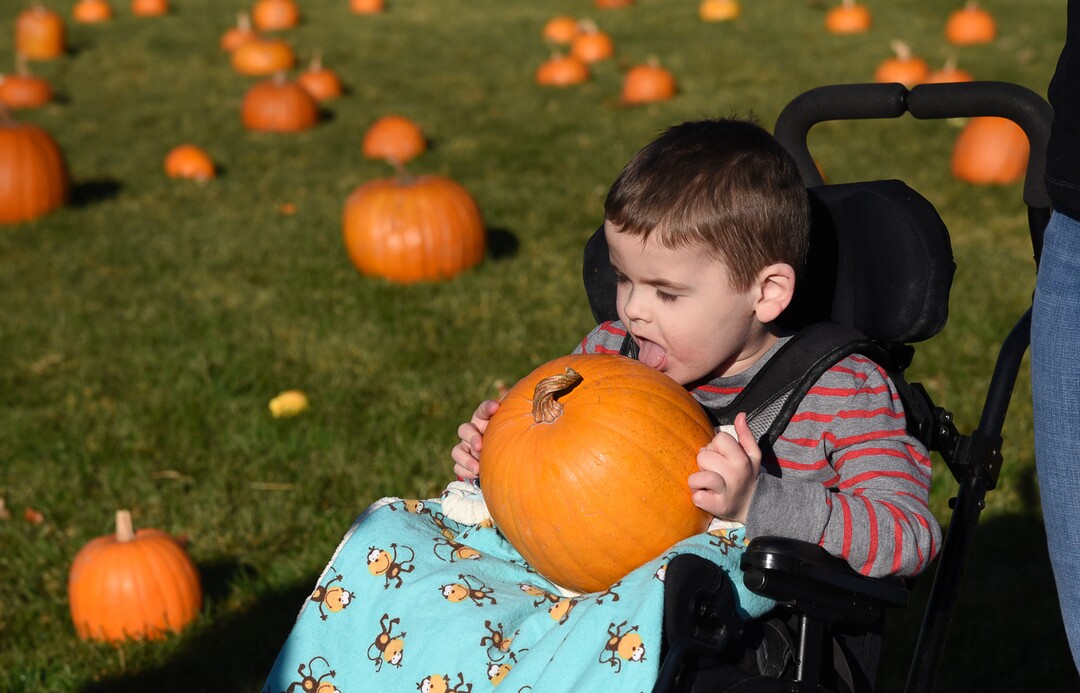 (Francisco Kjolseth  |  The Salt Lake Tribune)  Ethan Woodley, 6, tastes his choice as students at Jordan Valley School in Midvale, Canyon District's school for students with severe disabilities, get a chance to pick out a pumpkin from their very own pumpkin patch set up in front of the school on Wed. Oct. 24, 2018. Inmates who take part in the Green Thumb Nursery program at the Utah State prison grew and harvested the pumpkins that were donated to the school for the 10th year.