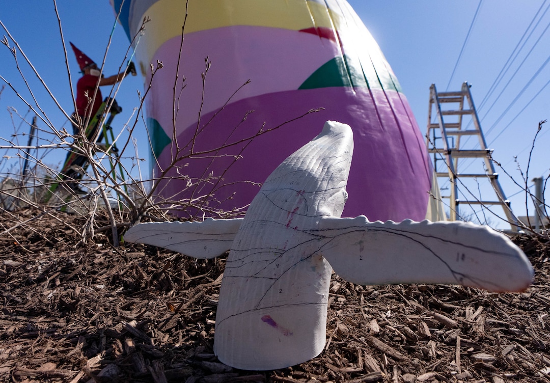 (Francisco Kjolseth | The Salt Lake Tribune) A color guide sits on the ground as local artist Mike Murdock begins his colorful transformation of “Out of the Blue,” by artist Stephen Kesler on Thursday, April 7, 2022. Murdock, who remains neutral on the topic of gnomes vs whales, pays tribute to the packs of gnomes that once ruled the now-infamous roundabout.