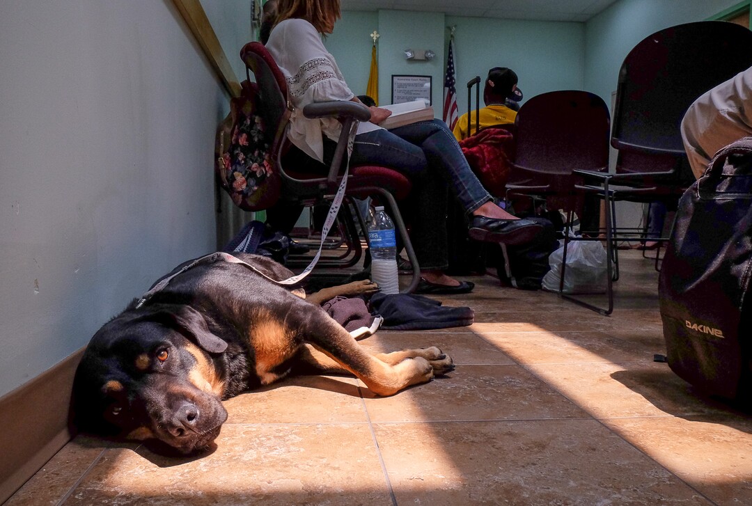 (Francisco Kjolseth  |  The Salt Lake Tribune)  A dog and its owner wait their turn patiently as Judge John L. Baxter takes one case after another during homeless court, where people experiencing homelessness can go to get justice, during a recent session at the Weigand Center inside Catholic Community Services. For nearly 15 years Judge Baxter has held court every other Friday.