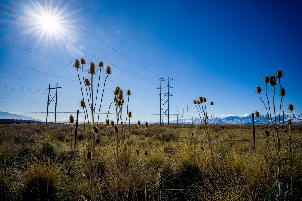 (Trent Nelson | The Salt Lake Tribune) An 80-acre piece of open space near 2699 W. 3300 North in Salt Lake City's Northpoint area.