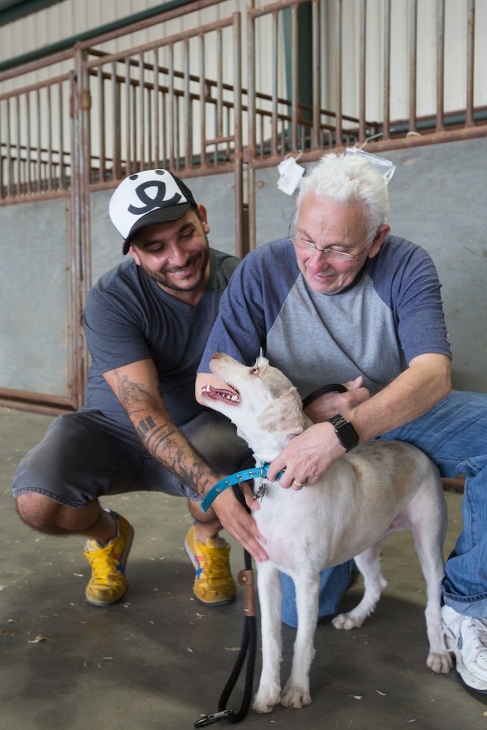 Best Friends Animal Society staff members and volunteers help rescue and reunite pets with people in the aftermath of Hurricane Harvey. Courtesy | Best Friends Animal Society.
