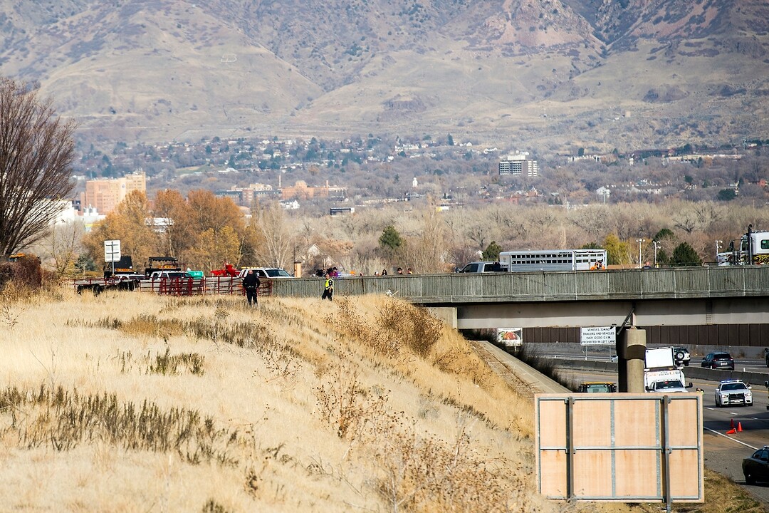 (Chris Detrick  |  The Salt Lake Tribune)  Emergency crews respond to a crashed semi truck hauling cattle on an Interstate 84 overpass in Riverdale Wednesday, November 22, 2017.  While taking the I-15 southbound ramp onto eastbound I-84 at 11:30 a.m., the weight in the semi truck shifted, and the truck tipped over, according to Utah Highway Patrol officials. The truck driver had been speeding, UHP said.