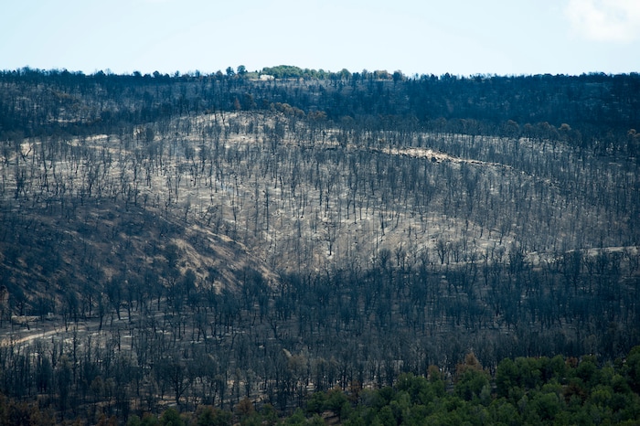 (Rick Egan  |  The Salt Lake Tribune)       Some cabins were spared as the Dollar Ridge Fire burned along the ridge of Currant Creek Mountain, Tuesday, July 10, 2018.


