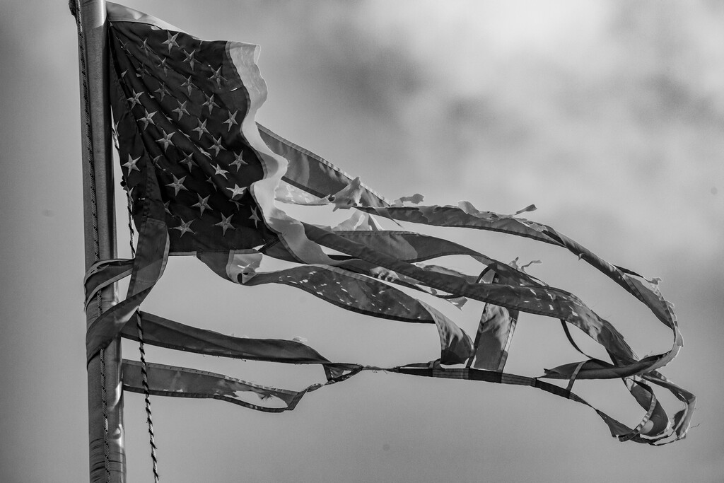 (Damon Winter | The New York Times)

A ripped American flag in Miami, Feb. 16, 2022. "This is a season — an age, really — of American pessimism," writes New York Times columnist Bret Stephens.
