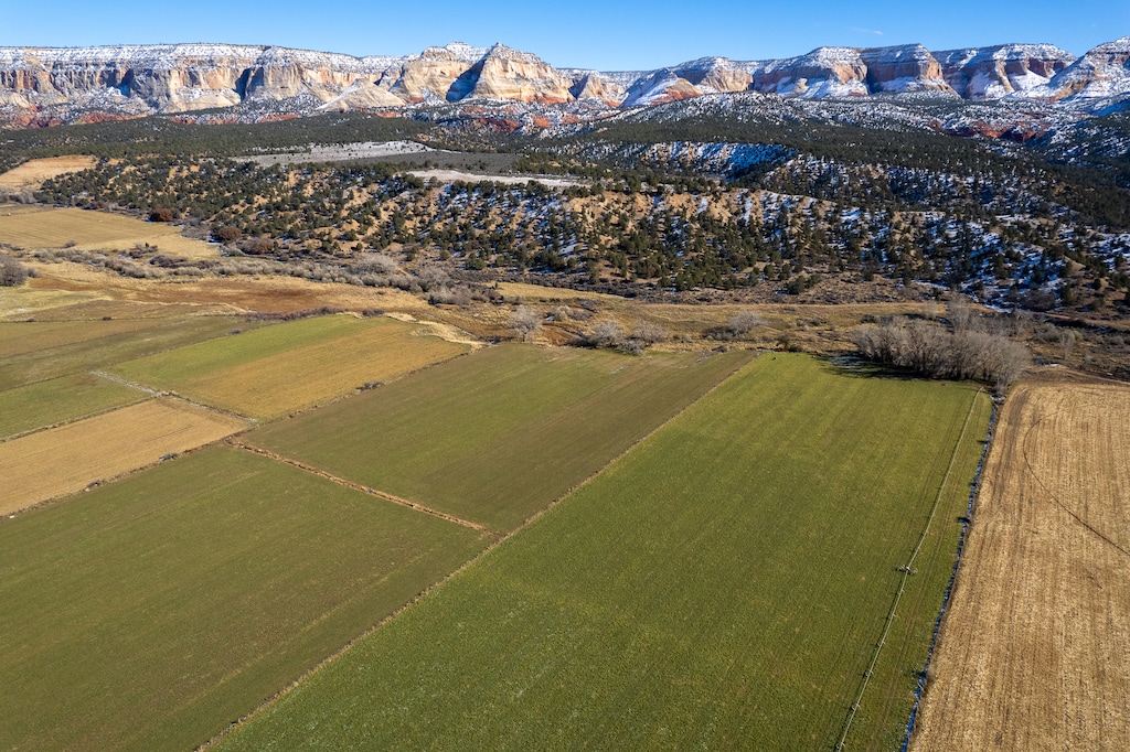 (Trent Nelson  |  The Salt Lake Tribune) Alfalfa fields in Mt. Carmel  on Thursday, Nov. 10, 2022.