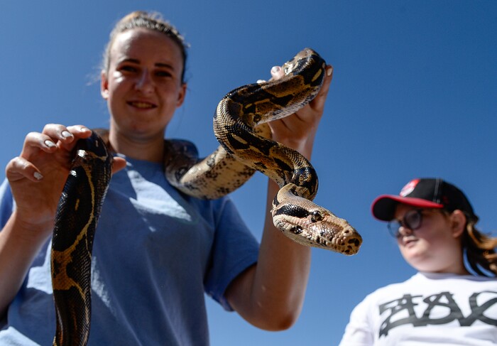 (Francisco Kjolseth | The Salt Lake Tribune) Sarah Haroldsen, 20, takes a turn holding a Colombian red tailed boa constrictor along with her sister Grace, 11, provided by the rescue and private education group Wild Wonders as part of one of the many activities during the annual Soldier Hollow Classic on Monday, Sept. 2, 2019.